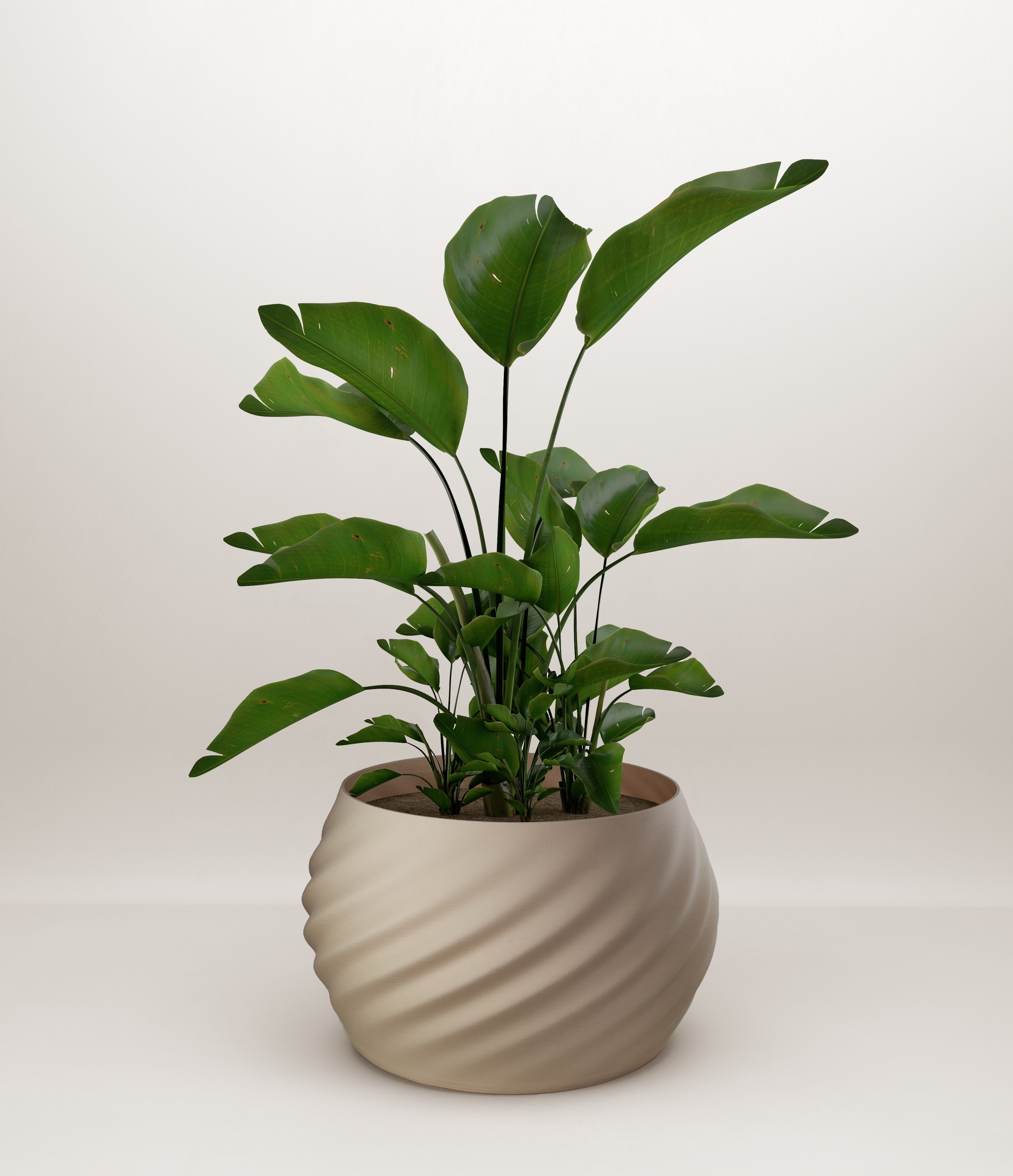 Mandala Beige Double Extra Large Planter